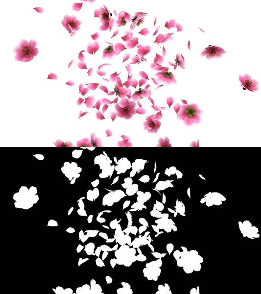 Illusztráció Egy Rózsaszín Cseresznye Sakura Virág Szirmok Áramlását Alfa Réteg — Stock Fotó