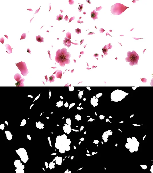 ピンクの桜の花びらがアルファ層を持つ3Dイラスト — ストック写真
