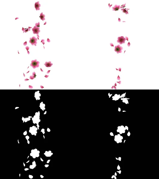Ilustracja Różowego Wiśni Sakura Płatki Kwiatów Płyną Warstwą Alfa Obrazek Stockowy