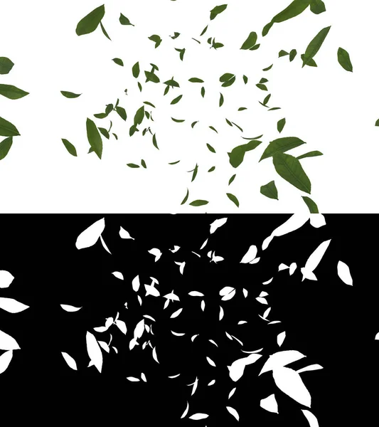 Иллюстрация Зеленых Листьев Чая Альфа Слоем — стоковое фото
