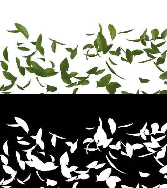 Illustration Green Tea Leaves Flow Alpha Layer — Photo