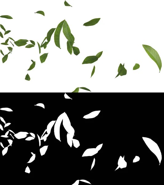 Illustration Green Tea Leaves Flow Alpha Layer — Stockfoto