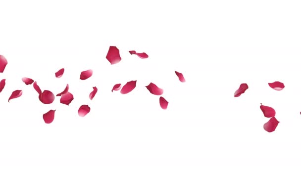 Animation Rose Petals Flow Alpha Layer — Stock Video