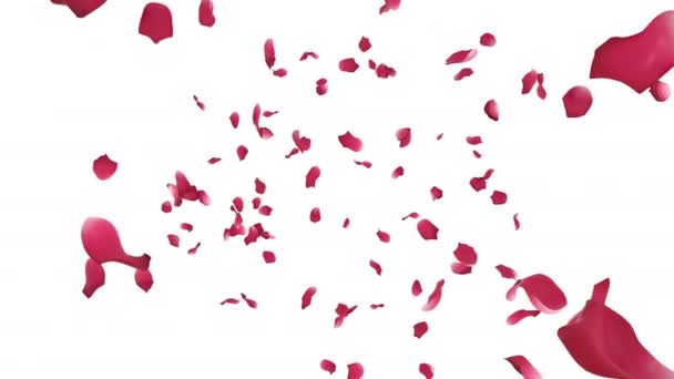 Animation Rose Petals Flow Alpha Layer — Stock Video