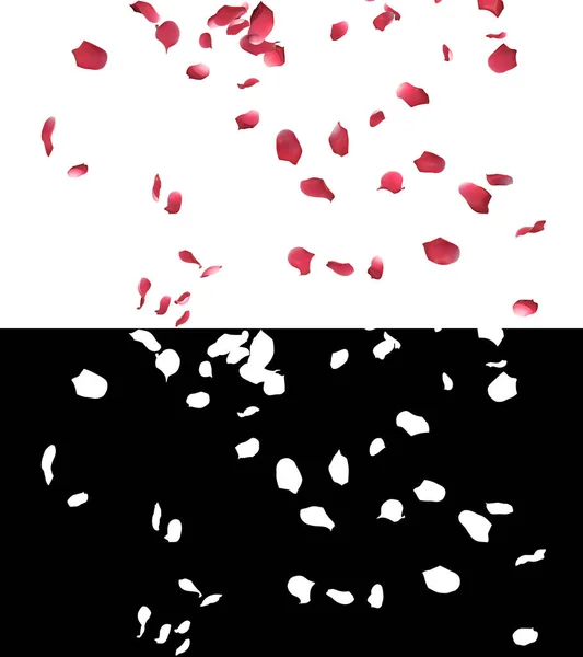 Illustration Rose Petals Flow Alpha Layer — Fotografia de Stock