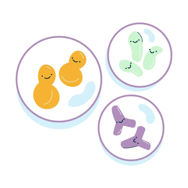 Bactéries utiles colorées positives travaillant sur la microflore saine dans l'estomac — Image vectorielle