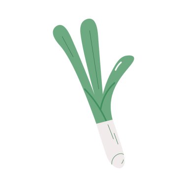 Midesindeki mikroflora için probiyotik içeren sağlıklı yeşil pırasa.