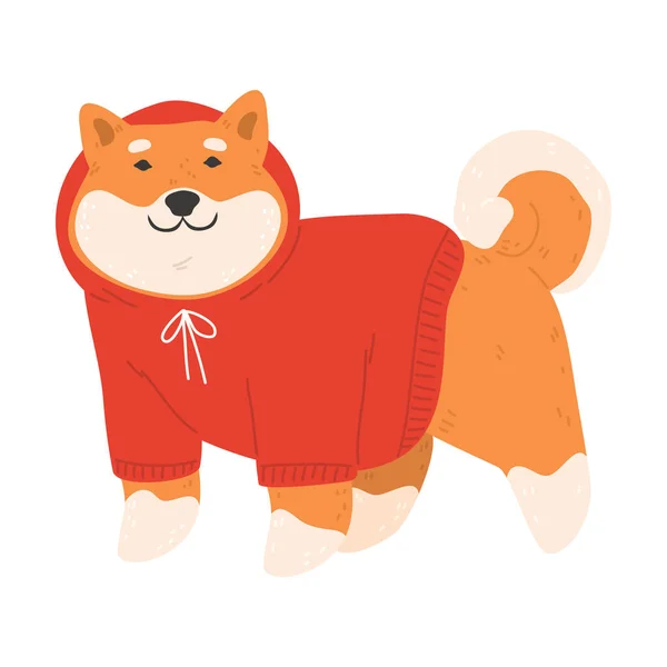 Japonés akita perro en rojo punto suéter de pie y sentirse feliz — Archivo Imágenes Vectoriales
