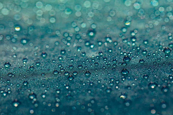 Closeup of water drops on car after rain