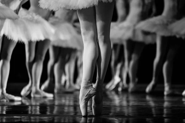 Ballet Lago Dos Cisnes Closeup Bailarinas Dançando — Fotografia de Stock