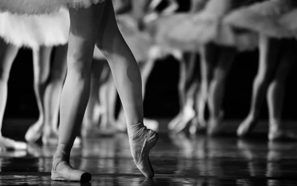 Balletto Del Lago Dei Cigni Primo Piano Ballerine Che Ballano — Foto Stock