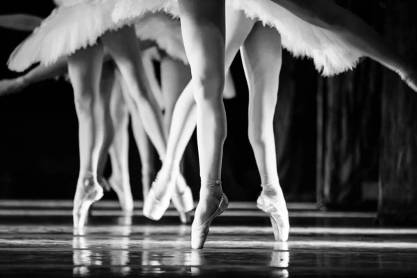 Ballet Swan Lake Primer Plano Bailarinas Bailando — Foto de Stock