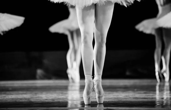 天鹅湖芭蕾舞 芭蕾演员的舞蹈表演 — 图库照片