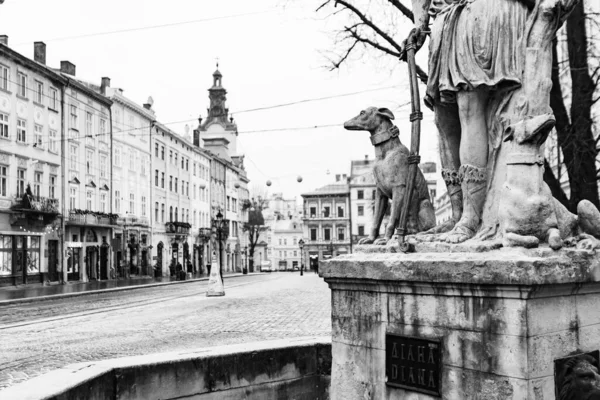 Lviv Ukraine Januar 2021 Leere Straßen Lviv Während Der Quarantäne — Stockfoto