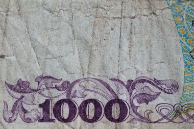 Tasarım amaçlı 1000 Polonyalı zloti