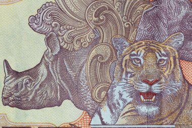 Tasarım amacıyla eski 10 Hint Rupisi 'nin bir parçası.