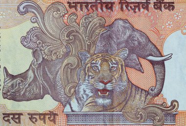 Tasarım amacıyla eski 10 Hint Rupisi 'nin bir parçası.