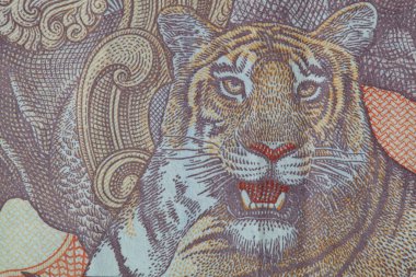 Tasarım amacıyla eski 10 Hint Rupisi 'nin bir parçası.