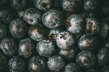 Taze yaban mersini arkaplanı. Yaban mersini dokuyu kapatır