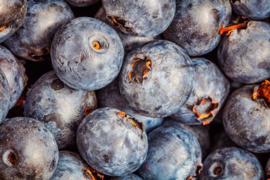 Taze yaban mersini arkaplanı. Yaban mersini dokuyu kapatır