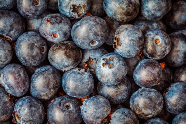 Taze yaban mersini arkaplanı. Yaban mersini dokuyu kapatır