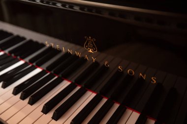 Lviv, Ukrayna - 12 Haziran 2020: Steinway & Sons siyah piyanonun logosu