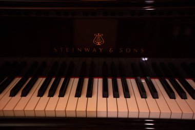 Lviv, Ukrayna - 12 Haziran 2020: Steinway & Sons siyah piyanonun logosu