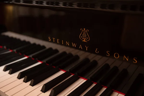 Lviv, Ukrayna - 12 Haziran 2020: Steinway & Sons siyah piyanonun logosu