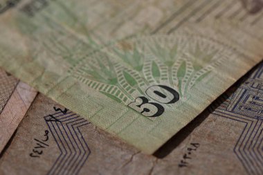 Tasarım amacıyla Mısır 'ın 25 ve 50 kuruşuna yakın.