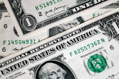 Thomas Jefferson tasarım amacıyla 1 dolarlık banknotları inceliyor.