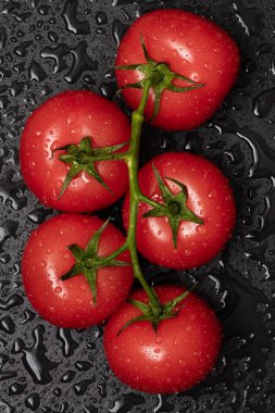 Siyah arkaplanda su damlaları olan dalda kırmızı domatesler