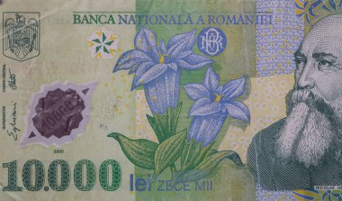 10000 Romen lei banknotu, 1999 Serisi - polimer, tasarım amaçlı