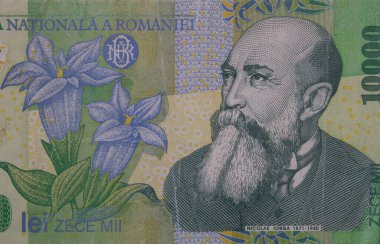 10000 Romen lei banknotu, 1999 Serisi - polimer, tasarım amaçlı