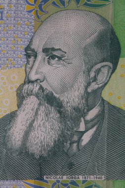 10000 Romen lei banknotu, 1999 Serisi - polimer, tasarım amaçlı