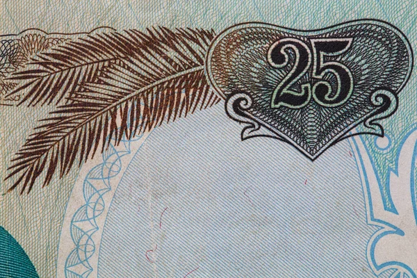1986年为设计目的发行的25枚伊拉克第纳尔现钞碎片 — 图库照片