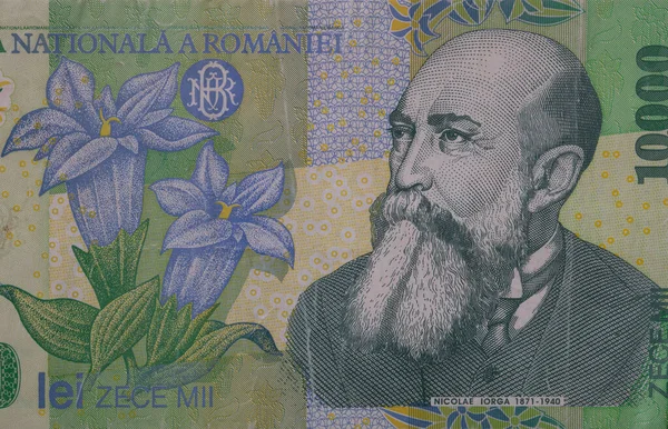 Fragment 10000 Romanian Lei Banknote 1999 Series Polymer Design Purpose — Stock Photo, Image