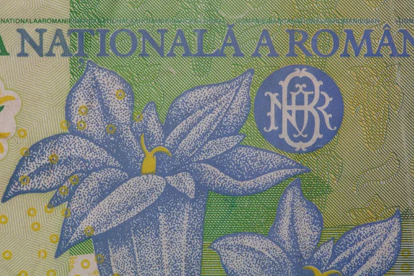 Fragment 10000 Romanian Lei Banknote 1999 Series Polymer Design Purpose — Stock Photo, Image