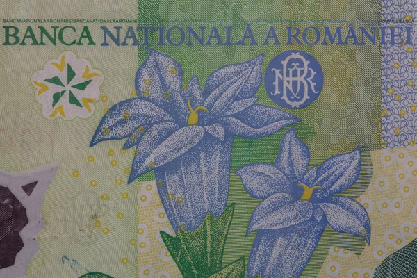 Fragment 10000 Romanian Lei Banknote 1999 Series Polymer Design Purpose — Stock Photo, Image