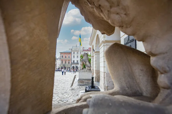 Lviv Ucrânia Maio 2021 Escultura Leão Perto Prefeitura Lviv Ucrânia — Fotografia de Stock