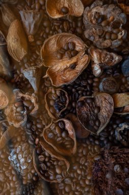 Kurutulmuş meyve, kahve çekirdekleri desenli arka plan.