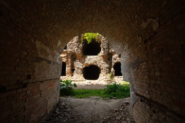 Terk Edilmiş Tarakaniv Kalesi (Dubno Kalesi, New Dubno Kalesi) - 19. yüzyılda Tarakaniv, Rivne bölgesinde bir savunma yapısıdır..
