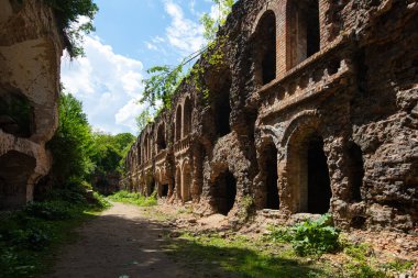 Terk Edilmiş Tarakaniv Kalesi (Dubno Kalesi, New Dubno Kalesi) - 19. yüzyılda Tarakaniv, Rivne bölgesinde bir savunma yapısıdır..