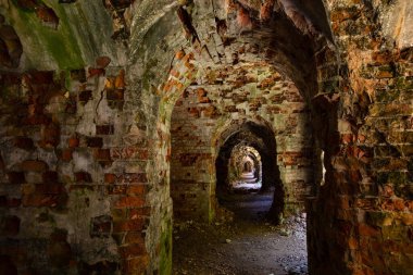Terk Edilmiş Tarakaniv Kalesi (Dubno Kalesi, New Dubno Kalesi) - 19. yüzyılda Tarakaniv, Rivne bölgesinde bir savunma yapısıdır..