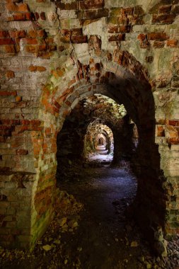 Terk Edilmiş Tarakaniv Kalesi (Dubno Kalesi, New Dubno Kalesi) - 19. yüzyılda Tarakaniv, Rivne bölgesinde bir savunma yapısıdır..