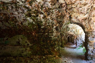 Terk Edilmiş Tarakaniv Kalesi (Dubno Kalesi, New Dubno Kalesi) - 19. yüzyılda Tarakaniv, Rivne bölgesinde bir savunma yapısıdır..