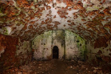 Terk Edilmiş Tarakaniv Kalesi (Dubno Kalesi, New Dubno Kalesi) - 19. yüzyılda Tarakaniv, Rivne bölgesinde bir savunma yapısıdır..