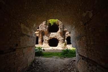 Terk Edilmiş Tarakaniv Kalesi (Dubno Kalesi, New Dubno Kalesi) - 19. yüzyılda Tarakaniv, Rivne bölgesinde bir savunma yapısıdır..