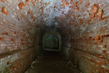 Terk Edilmiş Tarakaniv Kalesi (Dubno Kalesi, New Dubno Kalesi) - 19. yüzyılda Tarakaniv, Rivne bölgesinde bir savunma yapısıdır..