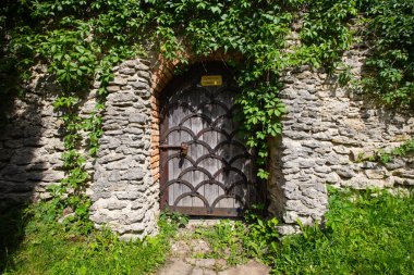 Antik taş duvarda bitkilerle dolu antik ahşap bir kapı. Duvar Kağıdı