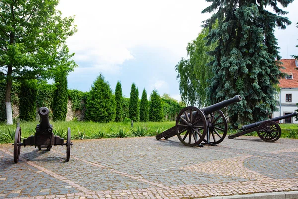 Dubno, Ukrayna - 7 Haziran 2021 Dubno Kalesi